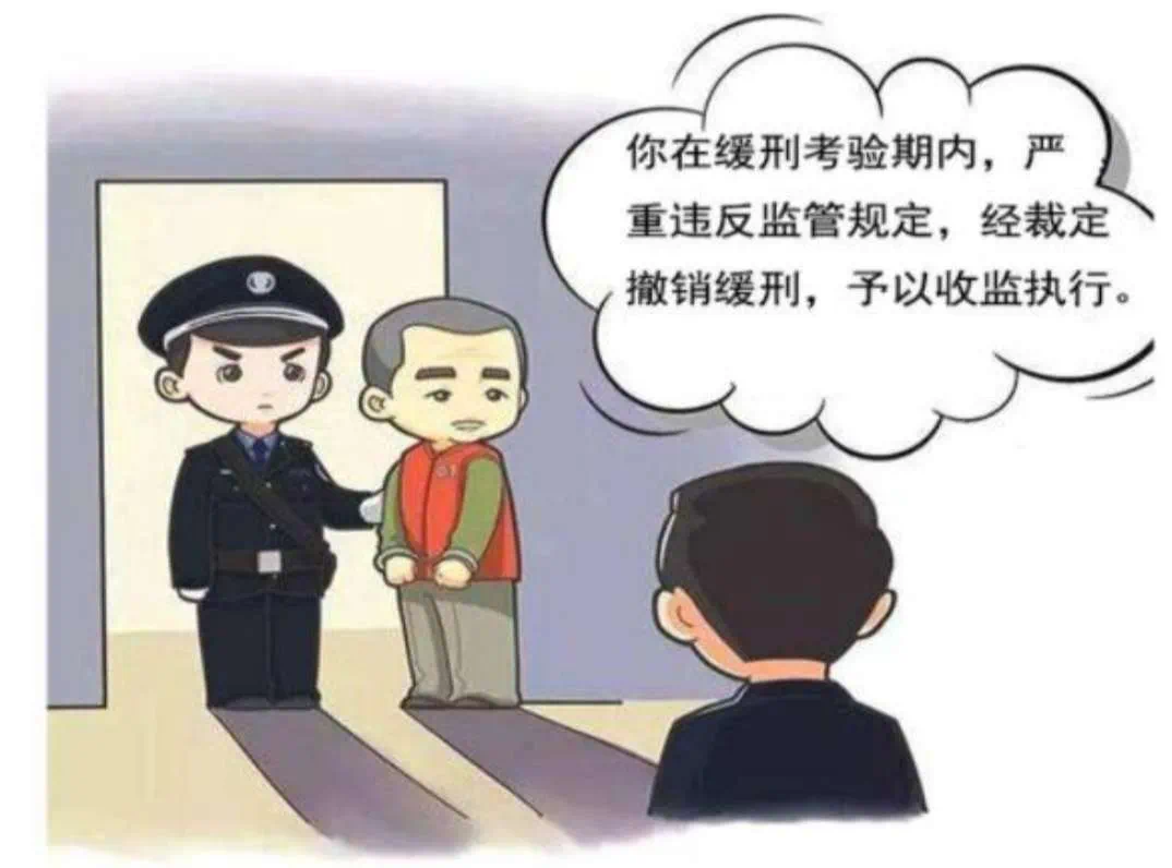 缓刑≠放任!阜南一男子缓刑期内又犯罪, 终食“恶果”!