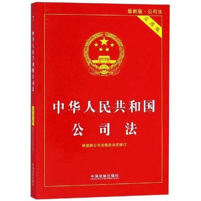 新法解读：《公司法》第十三条