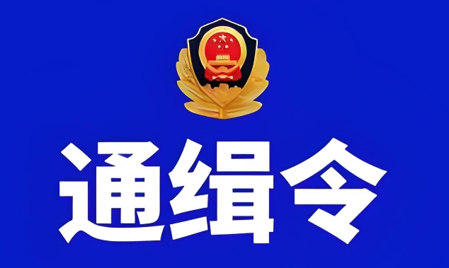 公安部通缉令有哪些等级